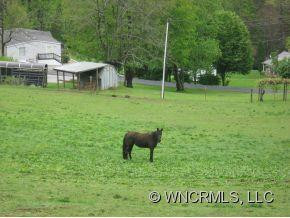 31 Standing Rock Trail - Photo 15