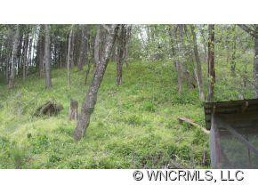 12374 Cruso Rd - Photo 5