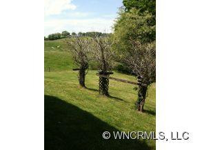 1413 Bear Creek Rd. - Photo 4