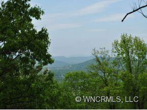 66 RHODODENDRON - Photo 17