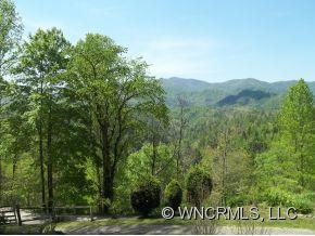 1904 Shelton Laurel Road - Photo 3