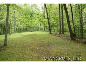 1150 Oteen Church Road - Photo 4