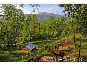 191 Spring Mountain Road - Photo 3