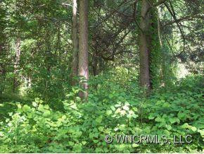 95 Craggy Avenue - Photo 9