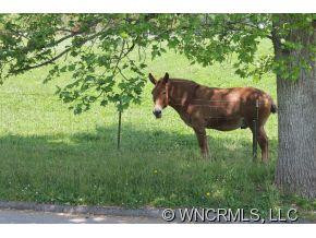 18 Dogwood Ridge Road - Photo 24