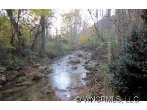 2947 Pearson Falls Road - Photo 2