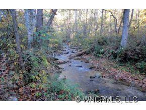 2947 Pearson Falls Road - Photo 3