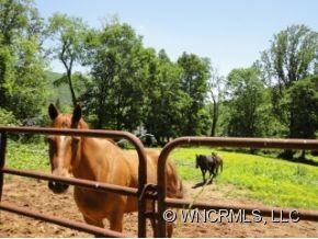 362 Pinners Cove Rd - Photo 15