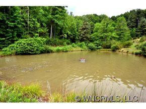 212 Sandy Mush Creek Rd - Photo 14