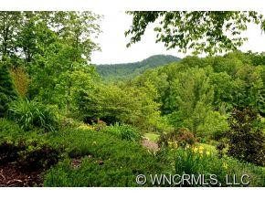 212 Sandy Mush Creek Rd - Photo 3