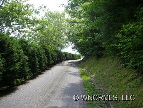 527 COYOTE HOLLOW ROAD - Photo 2