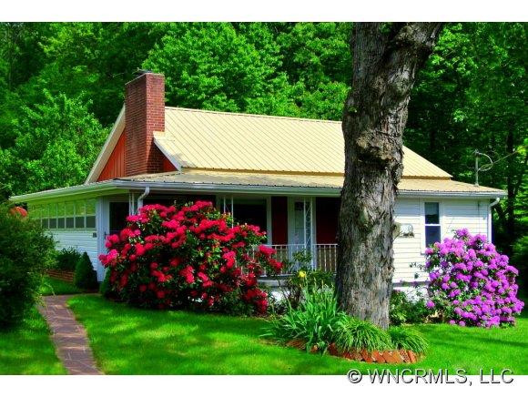 402 Pine Root Branch