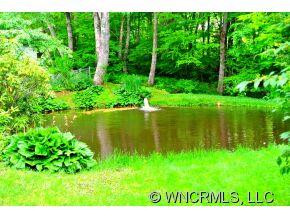 402 Pine Root Branch - Photo 4