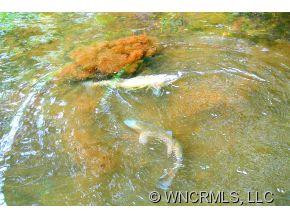 402 Pine Root Branch - Photo 7