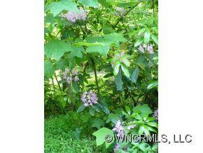 113 Ripple Branch - Photo 5
