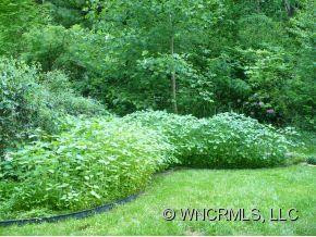 113 Ripple Branch - Photo 7