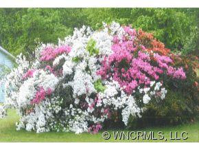 130 Andrews Rd. - Photo 2