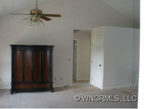 313 HEMLOCK SPRINGS TRAIL - Photo 5