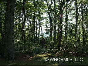50 Raccoon Ridge - Photo 24