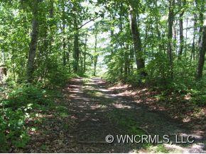 50 Raccoon Ridge - Photo 4