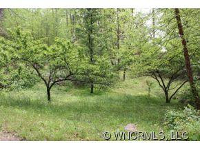 411 Rhododendron Dr. - Photo 12