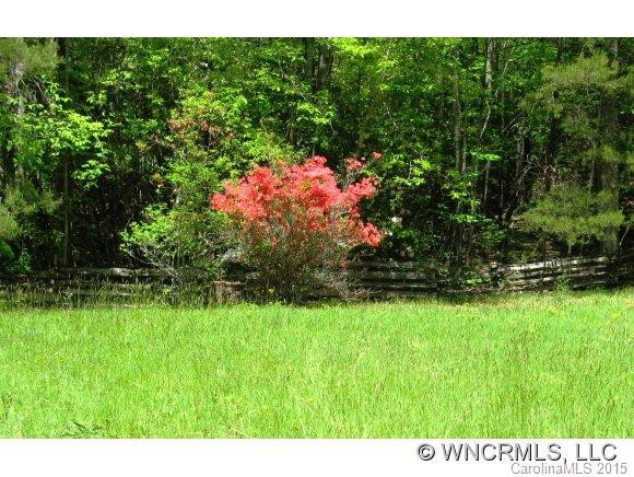 2151 Line Runner Ridge Road - Photo 13