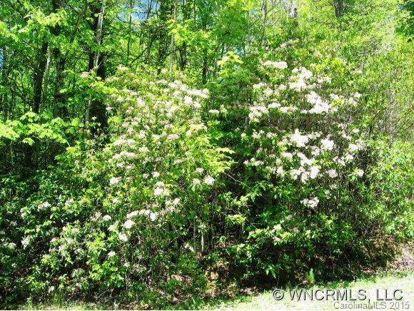 2151 Line Runner Ridge Road - Photo 15