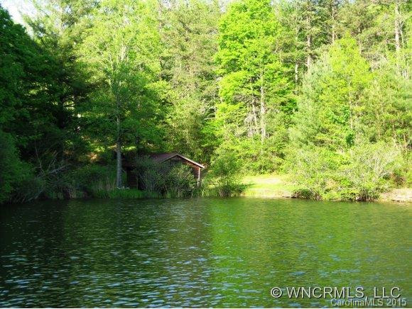 2151 Line Runner Ridge Road - Photo 19