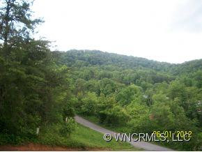 15 Lemon Creek - Photo 13