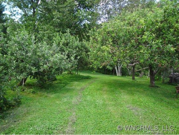 25 Crabapple Lane - Photo 10