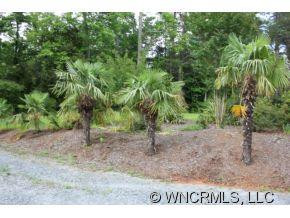 496 Peniel Road - Photo 9