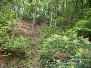 426 Winesap - Photo 8