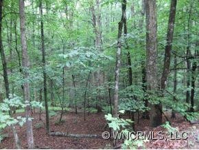 77 Bear Track - Photo 18
