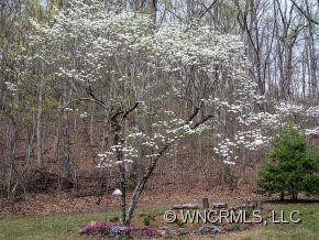 395 Lytle Cove Road - Photo 20