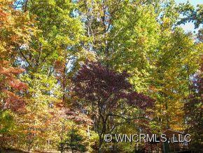 395 Lytle Cove Road - Photo 21