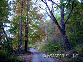 1745 Sugar Camp Road - Photo 3