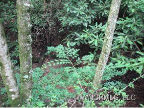 3703 Connestee Trail - Photo 7