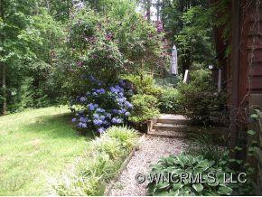 315 Carolina Pines Court - Photo 2