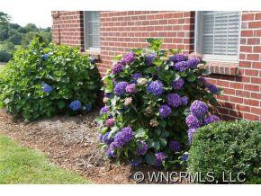 123 Charleston Court - Photo 24