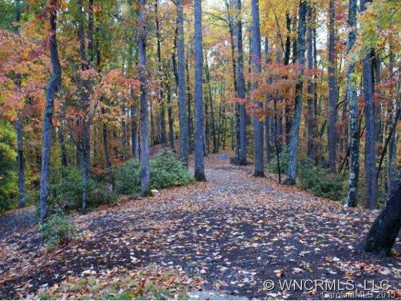 50 RUSH RIDGE TRAIL - Photo 19