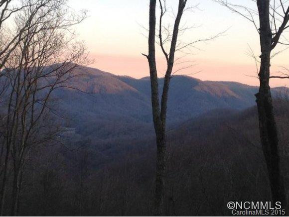 50 RUSH RIDGE TRAIL - Photo 23