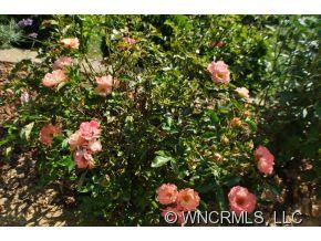 2901 Blue Goose Court - Photo 24