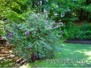 813 Barbara Boulevard - Photo 14