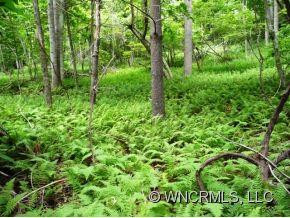 124 Fire Tower Road - Photo 19