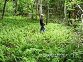 124 Fire Tower Road - Photo 6
