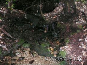124 Fire Tower Road - Photo 8
