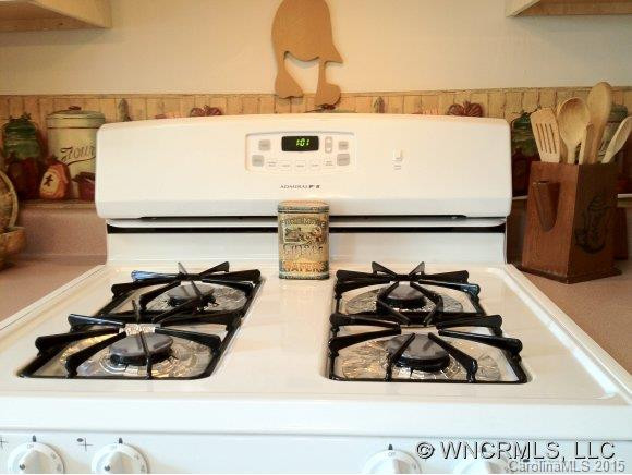 208 White Ashe Circle - Photo 4