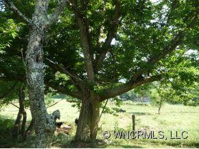27 MANEY BRANCH ROAD - Photo 9