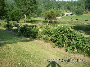 27 MANEY BRANCH ROAD - Photo 10