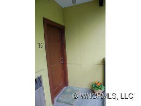 125 Clingman Ave Unit 301 - Photo 3